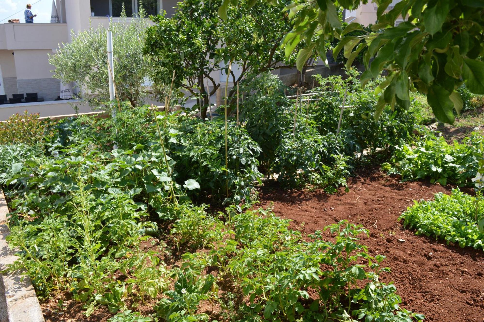 Apartman Talija كالي المظهر الخارجي الصورة